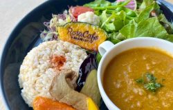 %e3%82%b9%e3%83%91%e3%82%a4%e3%82%b9%e3%82%ab%e3%83%ac%e3%83%bc